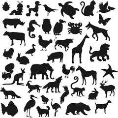 Minimalist Animal Silhouette Vector Collection