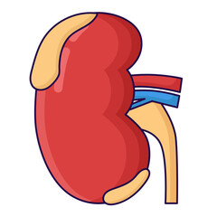 Kidney disease