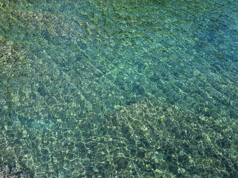 Sea aqua clear water green blue calm background. 