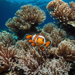 "A group of playful clownfish weaving through a coral garden, their bright colors contrasting against a deep, clear ocean background."