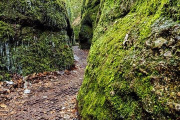 The Dragon Gorge at Eisenach in Thuringia