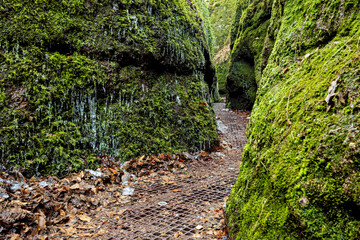 The Dragon Gorge at Eisenach in Thuringia