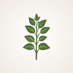  Plant, nature and ecology