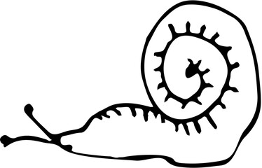 Sea, beach summer time travel. Vacation. Hand drawn vector isolated. Snail