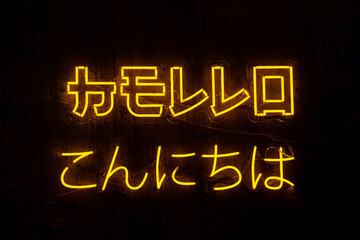 Glowing neon words Hello in English and Japanese on a black background.