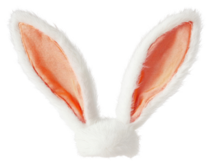 PNG Rabbit ear headband animal mammal angora.