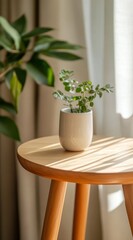 Fototapeta premium Small plant in white pot on wooden side table by window.