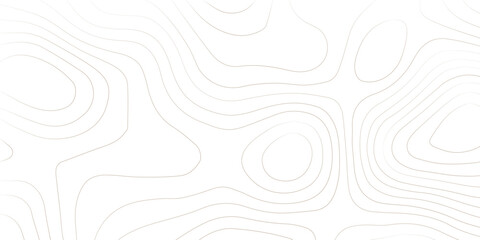 Topography background. Vector banner. Topography background. Vector geographic contour map. Background of the topographic map. Topographic map lines, contour background. 