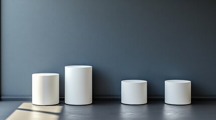 Minimalist Display Pedestals in Contemporary Interior Space