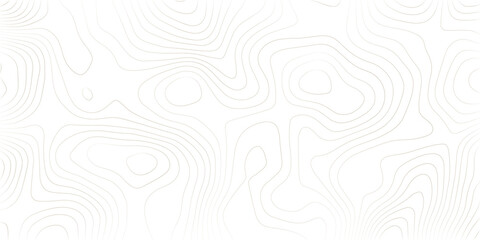 Undulate gray wave swirl. frequency soundwave; twisted curve lines with blend effect. Technology, data science, geometric border pattern. Isolated on white background. Vector illustration.