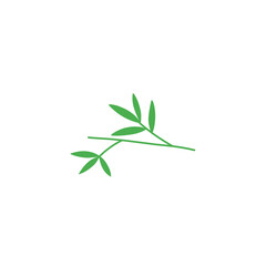 Fototapeta premium bamboo leaf vector