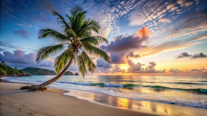 Fototapeta premium A lone palm tree stands tall on a serene Seychelles beach at sunrise, with gentle waves gently lapping at its roots , calm