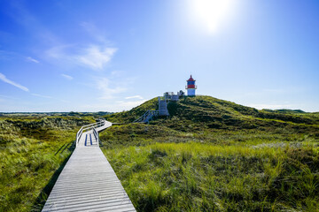 View of the dunes on the North Frisian island of Amrum. Landscape in the north. Nature on the North Sea island with the Norddorf leading and cross-marking fire.  © Elly Miller