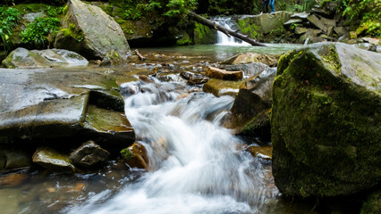 Serene forest scene, small stream flowing over vibrant green moss-covered rocks. Surrounding trees, foliage add to lushness Europe