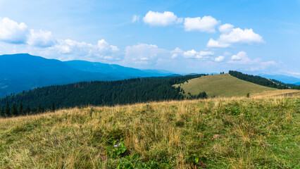 Beautiful natural landscape of forest mountains in summer. forested mountains. Natural scenery of green forest. Travel, tourism