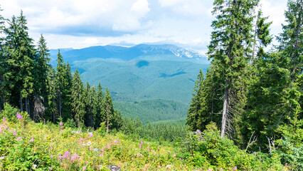 Beautiful natural landscape of forest mountains in summer. forested mountains. Natural scenery of green forest. Travel, tourism