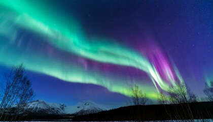 Fototapeta premium 夜空に広がる幻想的なオーロラの光の帯