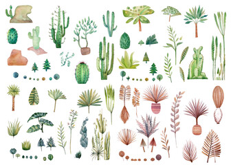 かわいい植物の水彩イラストセット　絵本　童話　挿絵　サボテン　熱帯雨林　トロピカル
