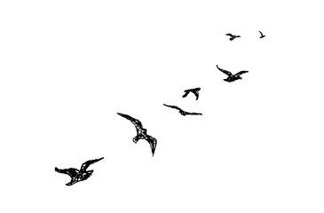 Silhouette of birds flying away. Shadow of flock of birds flying high in the sky drawn with wax pencil or pastel. Graphic element written with black charcoal pen. Vector illustration of simple bird.