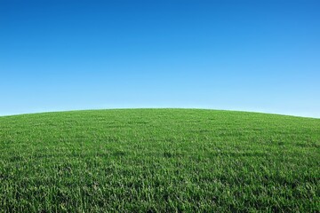 Obraz premium Stretching across a warm, sunny spring day, a beautiful field of new green grass rises to meet a blue sky filled with large white cirrus clouds, serving as an exquisite desktop screensaver