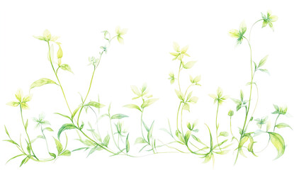 A straight branch with green leaves on a white background, in PNG format, a cutout, simple, flat design, high-resolution photography, high-quality details, and high definition. 