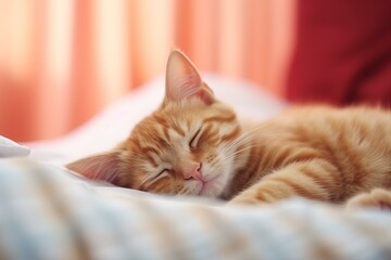 Adorable ginger kitten taking a nap on a comfortable bed, enjoying a moment of peaceful slumber