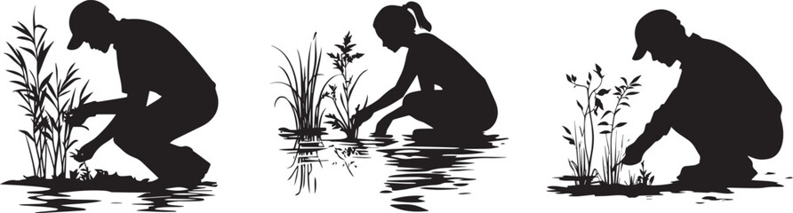Silhouette of an environmentalist planting native species in a wetland vector silhouette