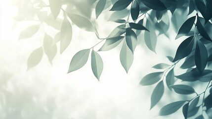 Sunlit green leaves, blurred background, nature photography, website banner