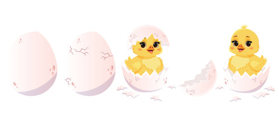 Fototapeta premium Horizontal set of cute baby chicken hatching from the egg. Vector newborn little chick character. Easter chicken with cracked shell egg. Baby chick mascot