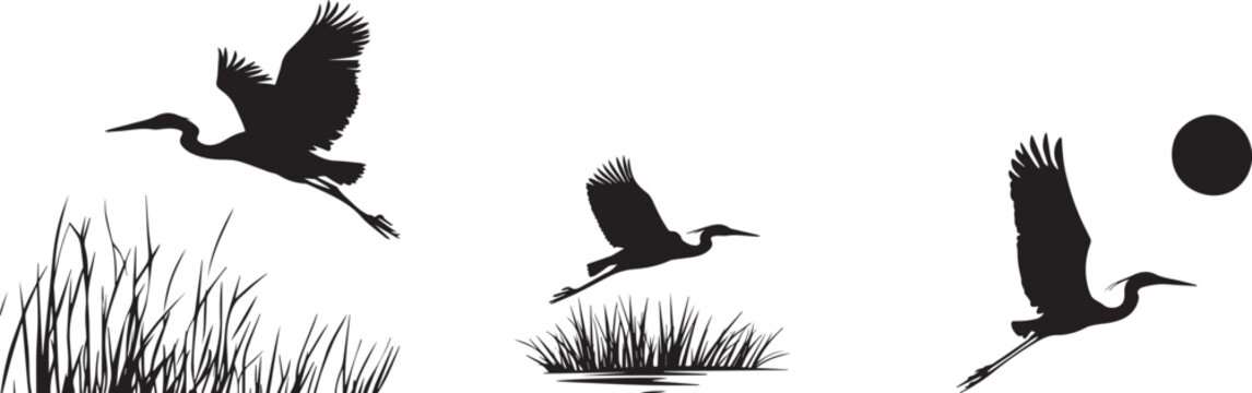 Silhouette of a heron flying vector silhouette