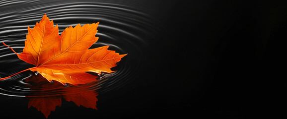 Orange autumn leaf on black water ripples, showcasing seasonal beauty and the calmness of nature, ideal for environmental and minimalist designs