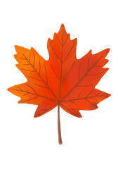 Maple leaf clip art images. Autumn maple leaf element