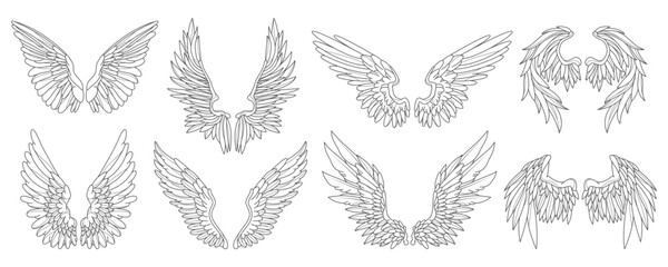 Set of angel or bird wing. Vector feather contour. Medieval or heraldic emblem. Sign for heaven or celestial, divine and spiritual tattoo. Mascot for flight and freedom. Phoenix or eagle, hawk outline