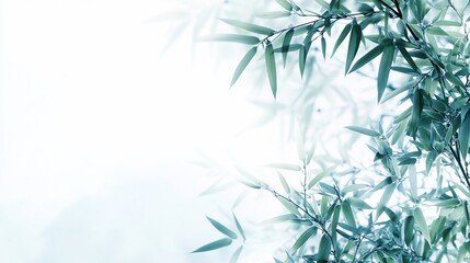 Serene bamboo leaves border, soft light, nature backdrop, website header