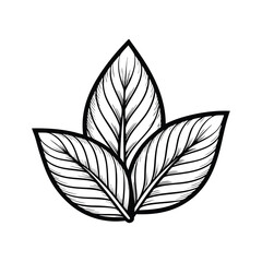 Design a minimalist line art logo featuring a single leaf.  Emphasize clean lines and elegant simplicity for a sophisticated aesthetic.