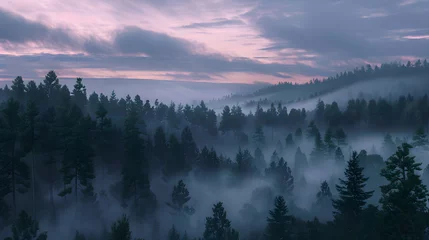 Printed kitchen splashbacks Omnipresence in Nature: Ethereal Dawn Wrapped in Serene Fog