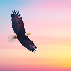 Fototapeta premium Majestic Eagle Soaring Against Colorful Sky