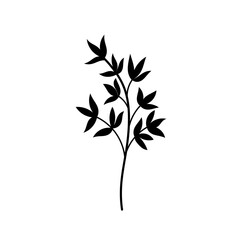 Obraz premium vector of a sprig of leaf which is a supporting element in the template