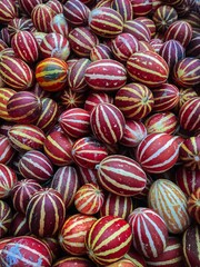 close up of colorful fruit