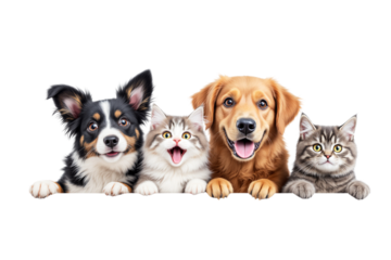Adorable dogs and cats with cheerful expressions, isolated on a white background. Perfect for pet-themed designs or templates. Ai generative