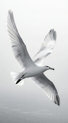 Obraz premium HD Phone Wallpaper Majestic White Seabird in Flight Graceful Wings Ocean Background Monochrome Photography