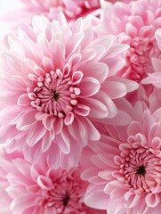 Pink flower bouquet