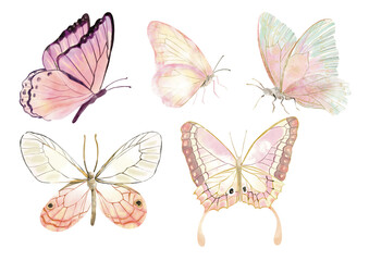 Watercolor butterfly clipart. hand drawn adorable butterfly for decorate you artwork. Ideal for creating feminine, aesthetic prints, invitations, cards and more.