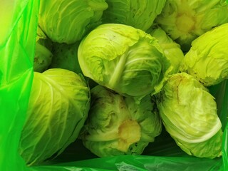 green cabbage in the garden,cabbage