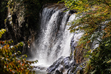 紅葉の白山白川郷ホワイトロード・姥ヶ滝