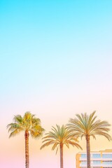 Fototapeta premium Tropical palm trees against vibrant sunset sky and minimalist architecture