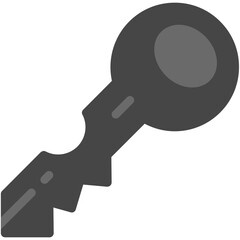 Key Icon