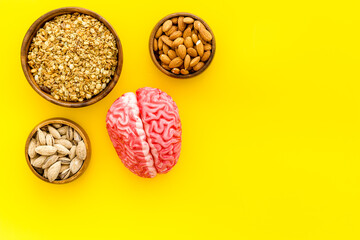 Healthy food for the brain. Human brain model with nuts and grain, top view
