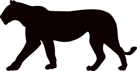 lioness, panther walking black silhouette vector