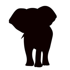elephant front view black silhouette vector